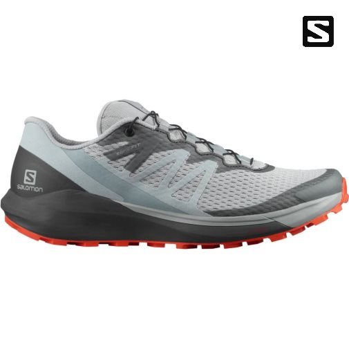 Sapatilhas Trail Running Salomon Sense Ride 4 Masculino Cinzentas | PT O56912